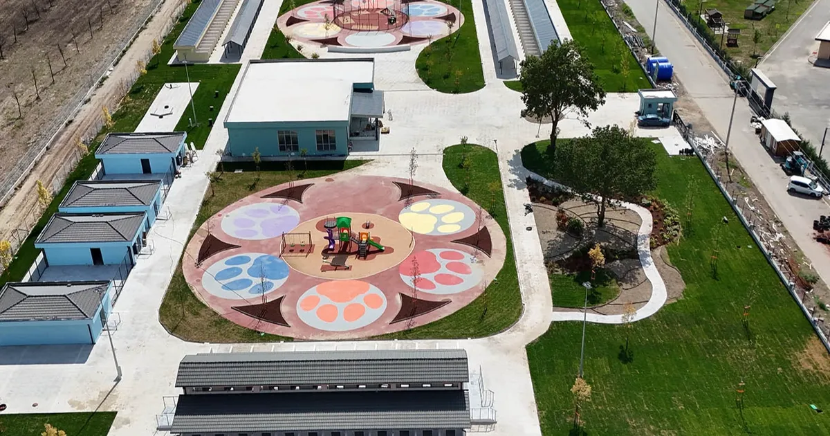 sakaryada sokak hayvanlarina guvenli yuva xvrhJCAu