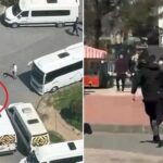 atlas-featured-9012-1775585656-0CIWUe