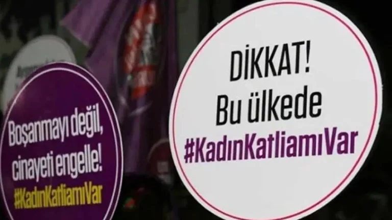 istanbulda-kaybolan-kadinin-cesedi-kirsehirde-bulundu-5-kisi-gozaltinda-tsfzpRGb