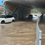 Haber gorseli